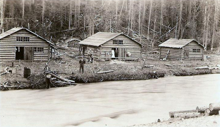 Kanada, skogsavverkning