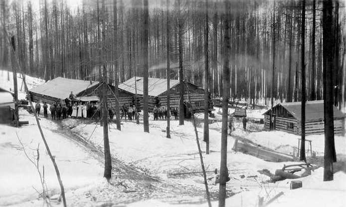 Kanada, skogskojor